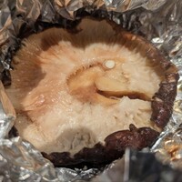 鳥茂 - 