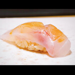 鮨 龍次郎 - 【追加】・本鯇 (ホンアラ)