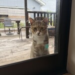 books to curry 猫のしっぽ - 