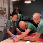 鮨けんすけ - 豊洲市場【樋長】の天然生本マグロを扱っております。