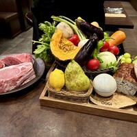 オッジ ダルマット 西麻布店 - 