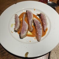 Potoro - 