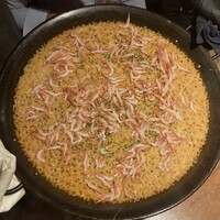 Potoro - 
