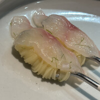 セルサルサーレ - 