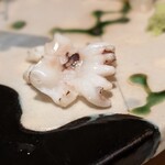 神楽坂 鮨 りん - 