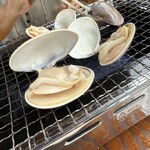 いさりび食堂 - 