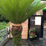 レモングラス - 