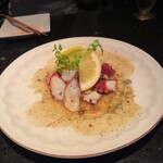 サルサ・マードレ - 