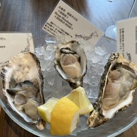 Oysterbar&Wine BELON 銀座店 - 