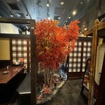 地鶏×鮮魚 個室居酒屋 もみじ庵 - 