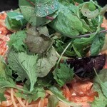 ハチトバーブ - 