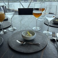 International cuisine subzero - 