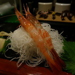 宝寿司分店 - 北海シマ海老と甘海老