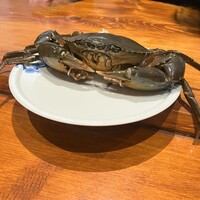 馳走西健一 - 浜名湖のドウマン蟹