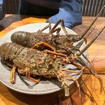 馳走西健一 - 解禁されたばかりの伊勢海老