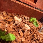 マルゴット エ バッチャーレ - 