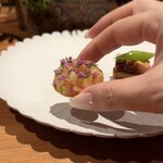 メルモーゾ ダ ドロカワ - 