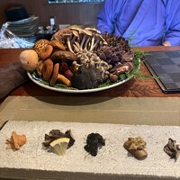 飛騨季節料理 肴 - 
