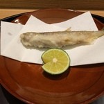 日本料理 太月 - 生子持ちししゃもの白仙揚げ