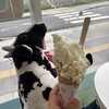 牛かうばっか 高秀牧場のじぇらーと屋さん