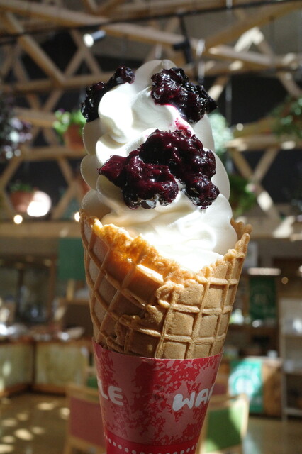 いいたて村の道の駅 までい館 - 飯舘村その他（道の駅）の写真