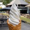 白沢高原 ソフトクリーム