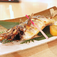 いけす鶴八 新栄店 - 鯵（焼き）