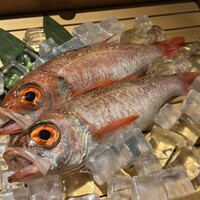 のどぐろ専門 銀座 中俣 - 