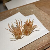 天ぷら 大坂屋 草哲 - 