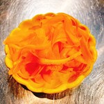 地鶏 焼き鳥鍋 サン - 