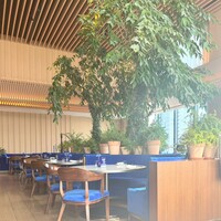 The Blue Room - 