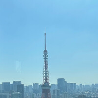 The Blue Room - 