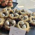 ボー・スィエル - 