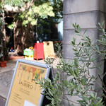 Trattoria ALBERO - 