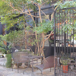 Trattoria ALBERO - 