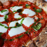 Trattoria ALBERO - 
