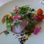 ミシェル・ブラス トーヤ ジャポン - 