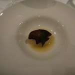 リストランテ サクラ - 自家製の西京味噌漬けのフォアグラ大根