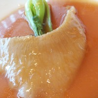 重慶飯店 麻布賓館 - コース：小さ目ですが、ふかひれ姿煮