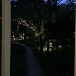 ヒポクラティック サナトリウム - 