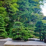 ラウンジ バンブー - 