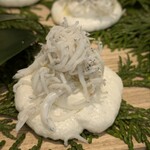 関西パビリオン 和歌山ゾーン - 山利しらす・リコッタ・メレンゲ
                                ふわっとサクサクのメレンゲに、リコッタチーズクリームの軽やかな甘みとしらすの塩味が見事に調和。