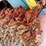 海鮮処 海門 - 魚市場内では、殻つき牡蠣が300円で食べられます