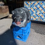 函館朝市 栄屋食堂 - 