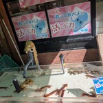 函館朝市 栄屋食堂 - 