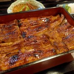 うなぎ いっせい - 