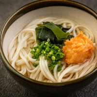 冷やし五島うどん