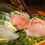 個室×鮮魚×地鶏 海乃鶏 - 