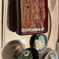 うなぎ 目白ぞろ芽 - 