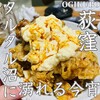 焼鳥どん 荻窪店